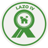 Lazo 4